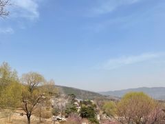 -北京西山国家森林公园