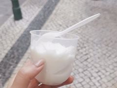 -洪馨椰子
