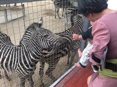 -泉州海丝野生动物世界