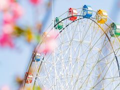 -观澜湖生态运动公社