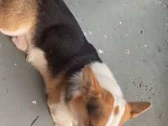 -阿尔法海鲜排档(爱琴海店)