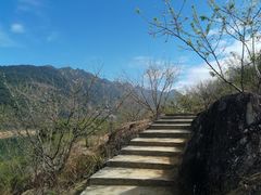 -广州市流溪河国家森林公园