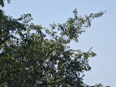 -观象山公园