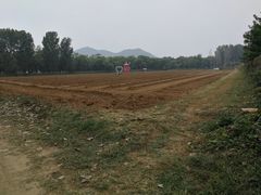 -北京东方普罗旺斯薰衣草庄园