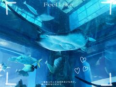 -乐从天佑城海洋馆