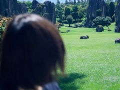 -菌之家·专业纯野生菌火锅·特色炒菌