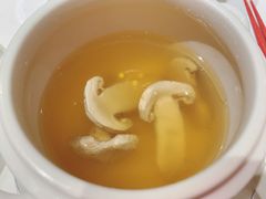 清汤炖松茸-西郊5号·Maggie 5