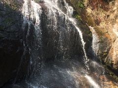 -东天目山风景区