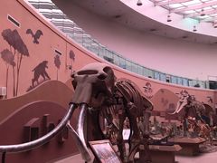 -陕西自然博物馆