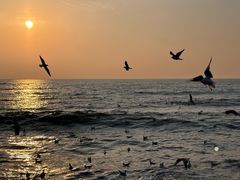 -老虎石海上公园