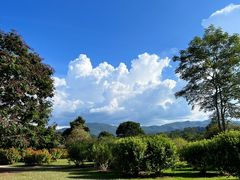 -中国科学院西双版纳热带植物园