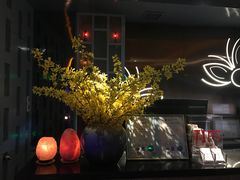 -丽晶大班SPA(大沽店)