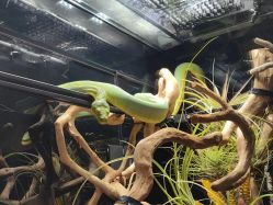 -Zoolung Zoolung动物主题公园(海信广场店)