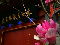 -北京佛教居士林