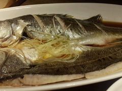 android_upload_pic-青年公社烤鸭(蜀山万象汇店)