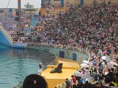 -秦皇岛乐岛海洋王国