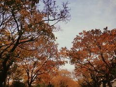 -八大关景区