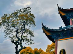 -杭州半山国家森林公园