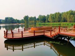 -东郊湿地公园