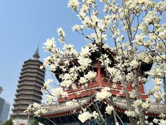 -西海子公园