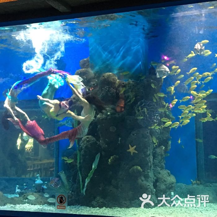 昆明花都·海洋世界图片