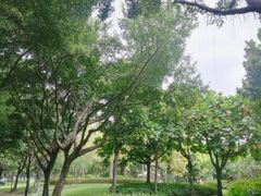 -晓港公园