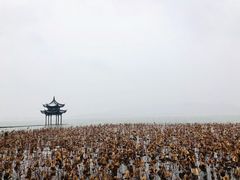 -钱王祠