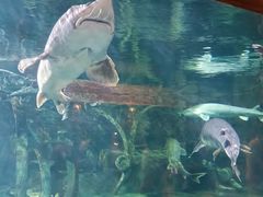 -华夏文旅海洋公园