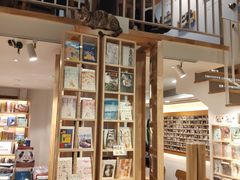 -猫的天空之城概念书店(苏州平江店)