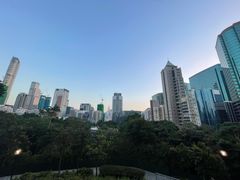 -九龙公园