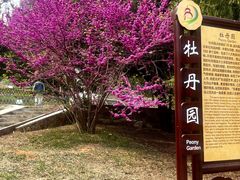 -北京西山国家森林公园