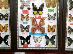 -小厨晓味(大里路店)