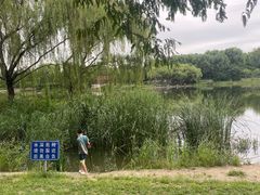 -北坞公园