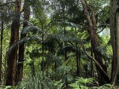 -可伦宾野生动物保护区