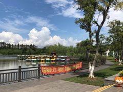 -上海长兴岛郊野公园