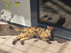 -EATALIA意塔利意式餐厅(鼓楼店)