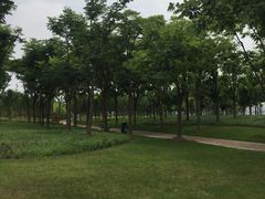 -前滩友城公园-停车场