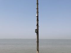 -上海滨江森林公园