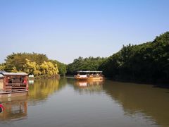 -大湾区中央湿地公园