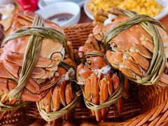 -蟹天蟹地农家菜·阳澄湖大闸蟹(浅水湾店)