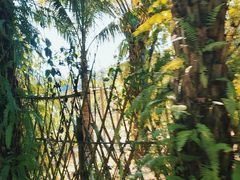 -西双版纳傣族园