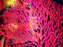 -沈阳海洋探索中心