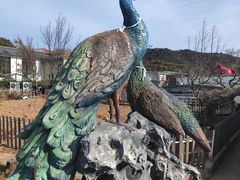 -丽泽山庄·生态怀柔菜·虹鳟鱼(红螺寺店)