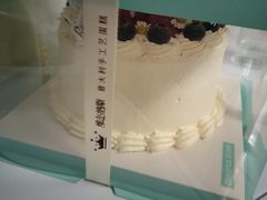 -维尔纳斯·生日蛋糕·动物奶油冰淇淋蛋糕(六里桥店)