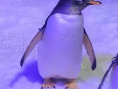 -成都浩海立方海洋公园