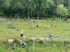 -哈尔滨北方森林动物园