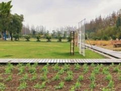 -前小桔亲子创意农场·草莓采摘·露营烧烤