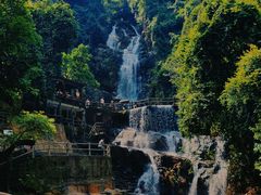 -鼎湖山风景区