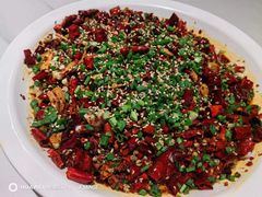 -三猫黑鱼花(南大店)