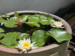 -鼓楼(西湖风景名胜区)